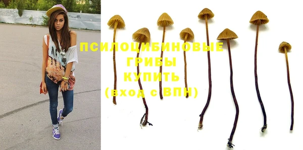 дмт Алексеевка