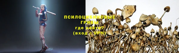 PSILOCYBIN Абаза