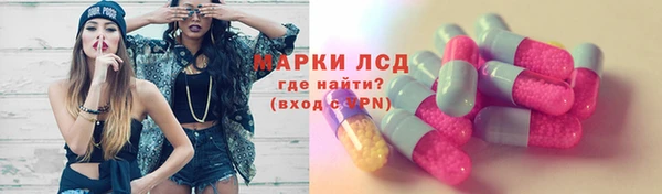 PSILOCYBIN Абаза