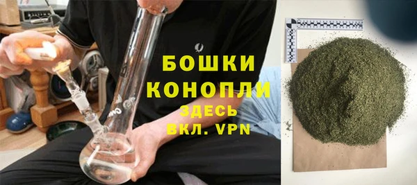 PSILOCYBIN Абаза